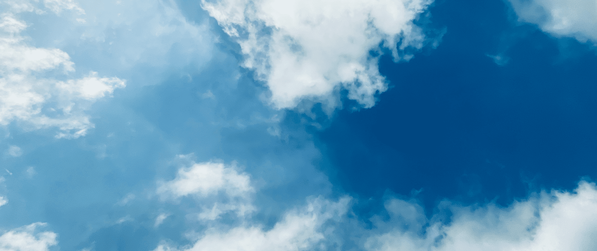 skillnad visma net vs business nxt